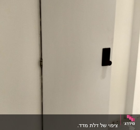 דלת לבנה עם ידית שחורה על רקע קיר לבן
